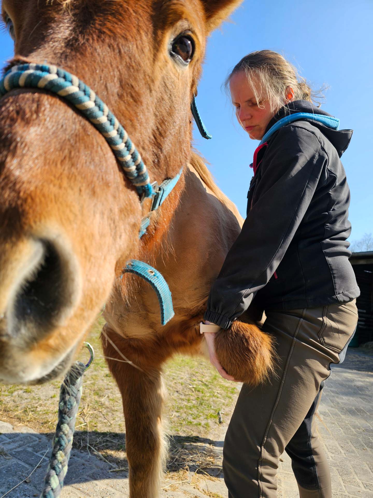 Mobilisation der Schulter